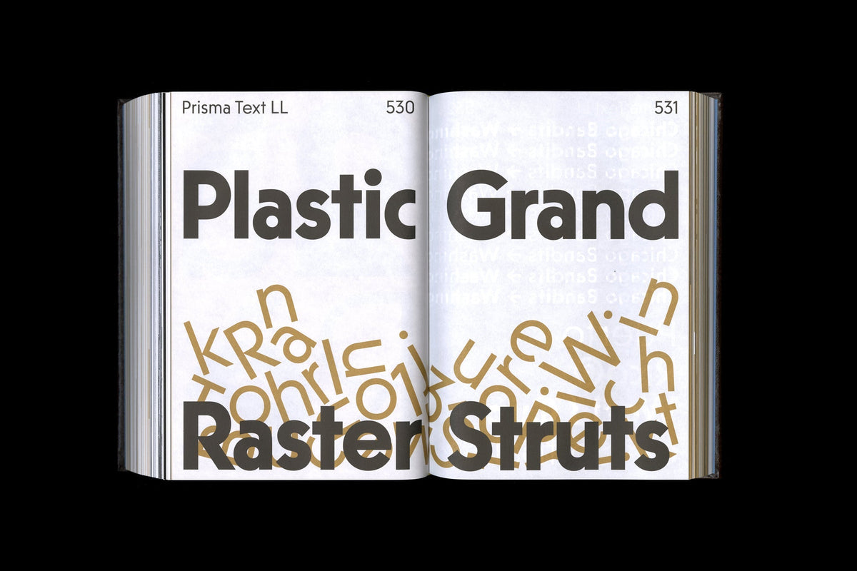 Shoplifters 10: New Type Design Vol. 2