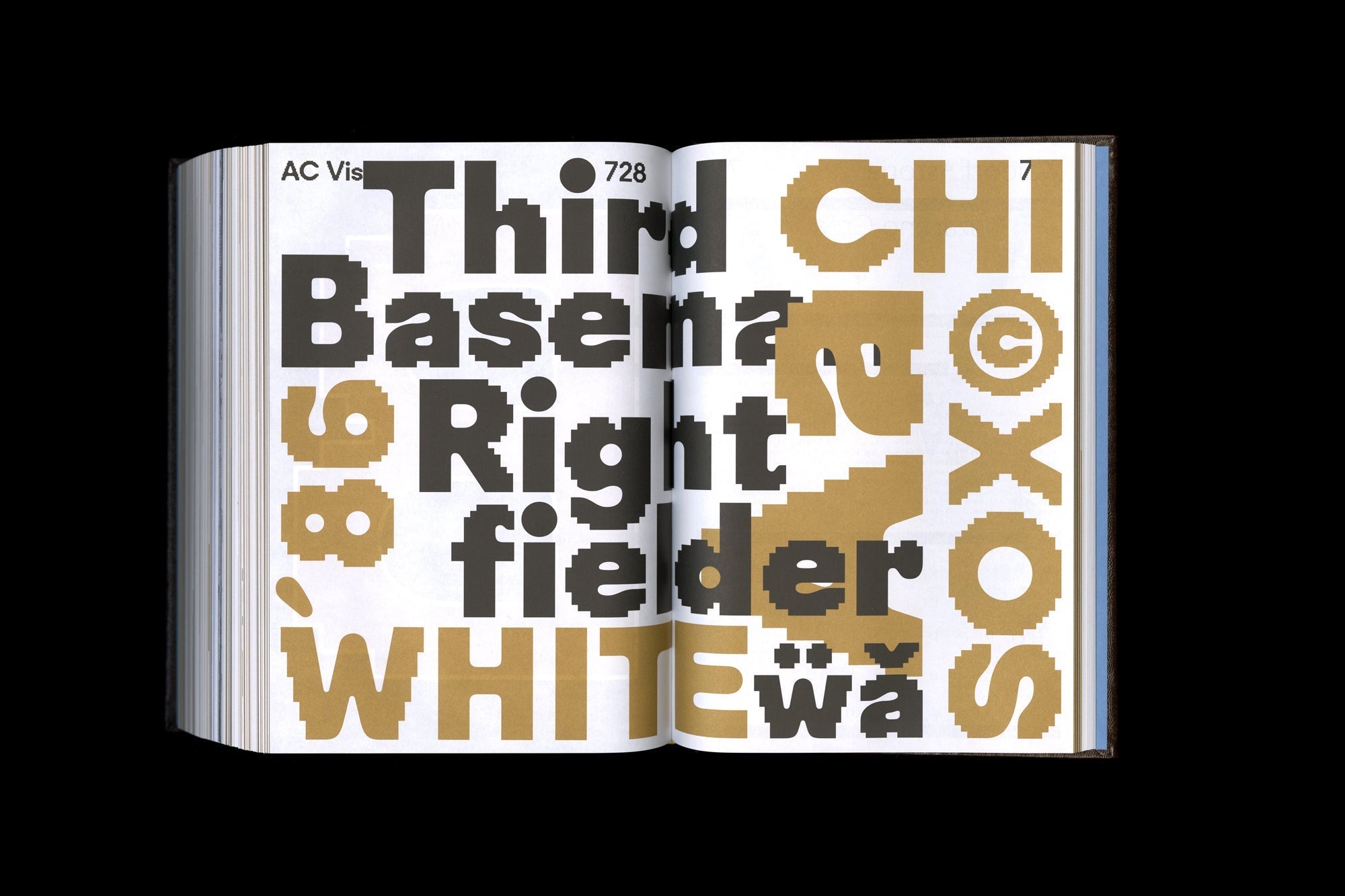 Shoplifters 10: New Type Design Vol. 2