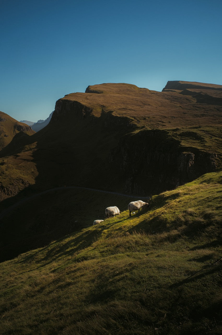 “Mémoires” Print